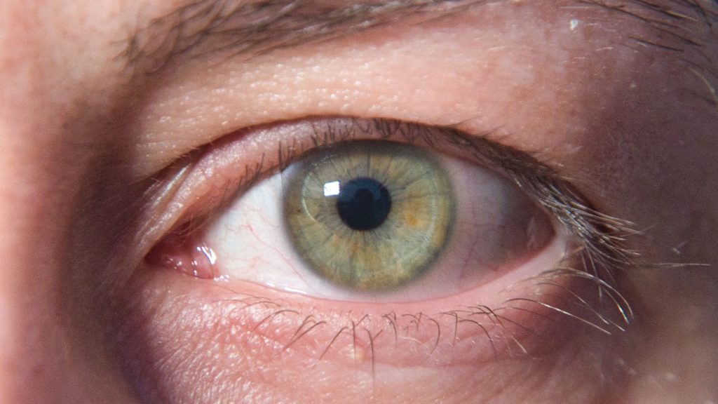 Die Pupille des Menschen ist eine Art Blende