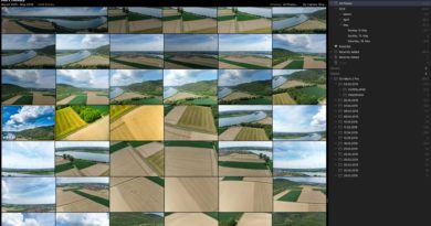 Luminar Katalog mit Fotos - Luminar 3.1