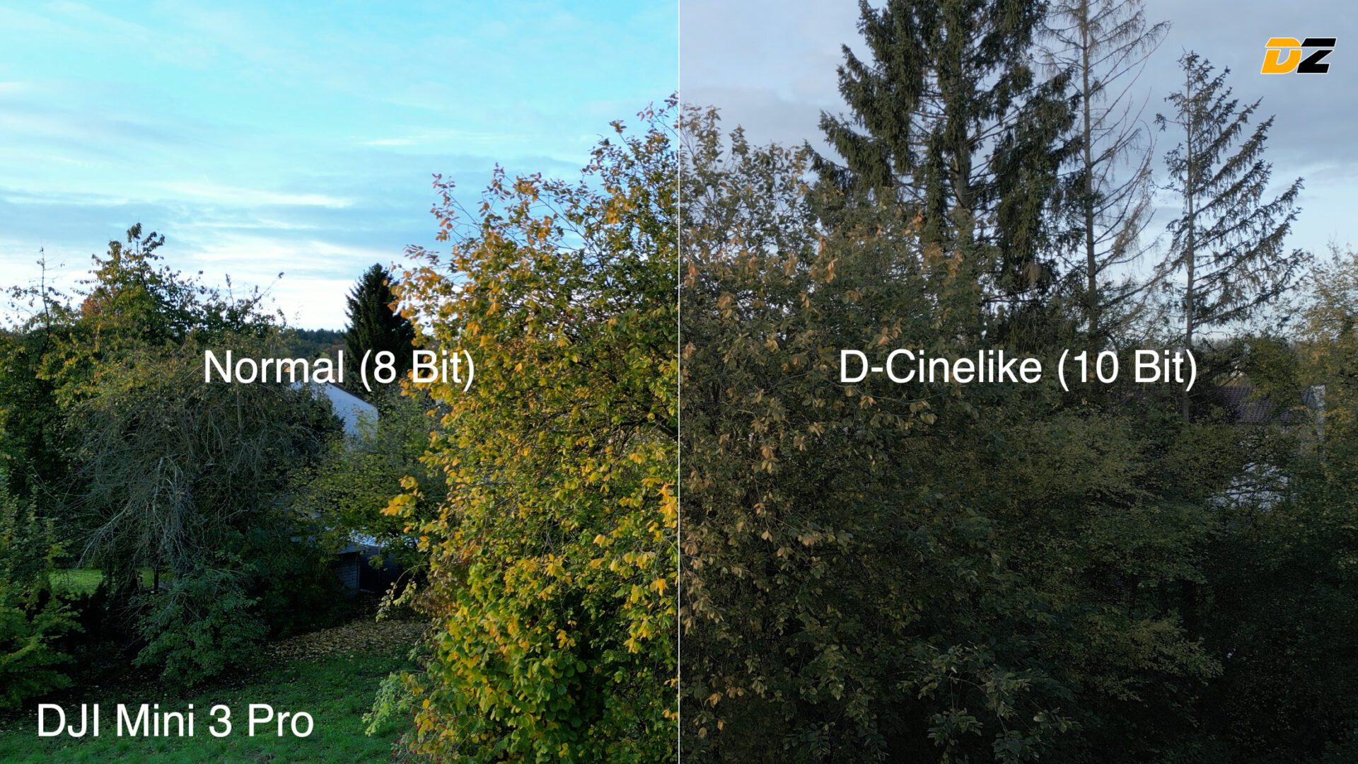 Wissen: Farbprofile D-Log, D-Log M, D-Cinelike & HLG erklärt - Drone ...
